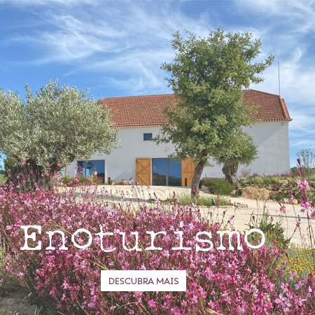 Enoturismo